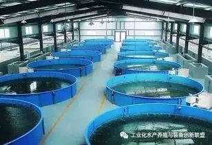 句句精华 陈海龙教你认识什么是工厂化水产养殖系统